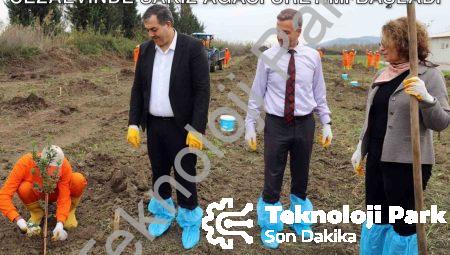 Dalaman’da Tarımsal Kalkınma Hamlesi: Cezaevinde Sakız Ağacı Üretimi Başladı