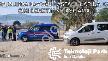Karpuzlu’da Hayvan Hastalıklarına Karşı Sıkı Denetim ve Aşılama