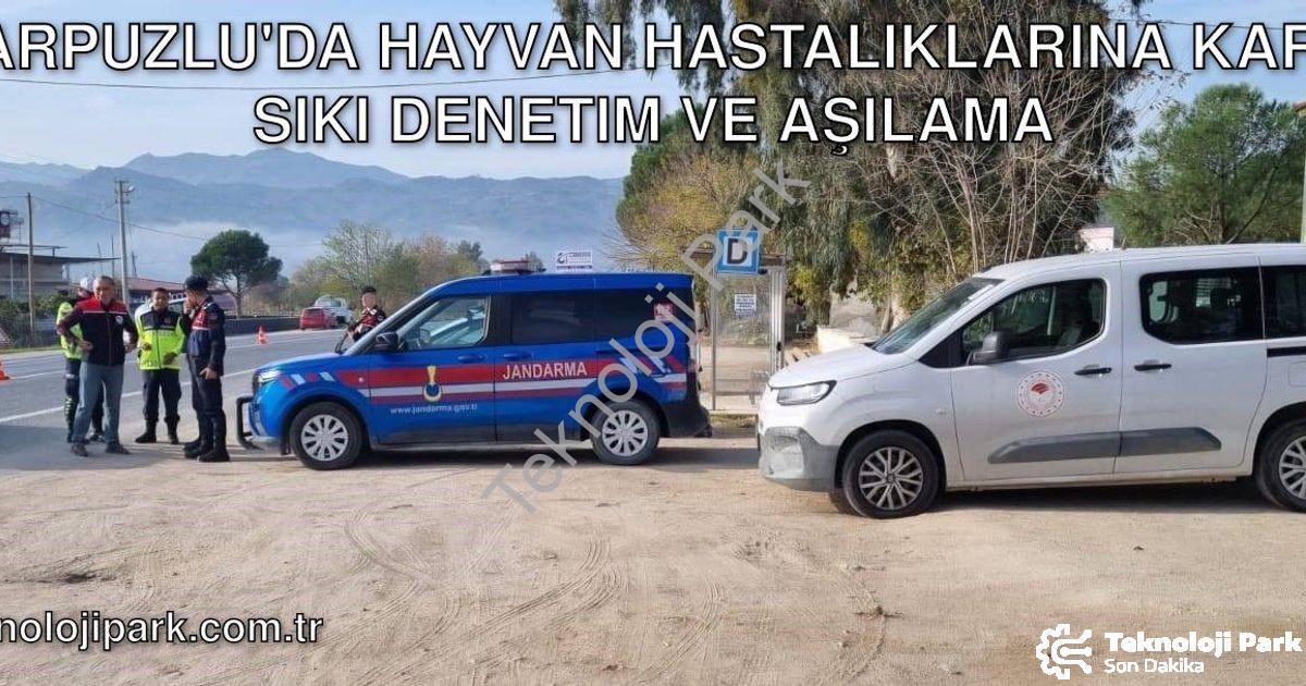 "Karpuzlu'da Hayvan Hastalıklarına Karşı Sıkı Denetim ve Aşılama" başlıklı haber için fotorealistik,