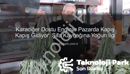 Karaciğer Dostu Enginar Pazarda Kapış Kapış Gidiyor: Şifa Kaynağına Yoğun İlgi