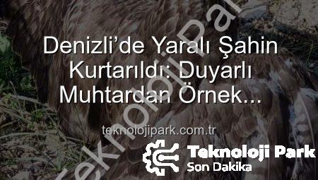 Denizli’de Yaralı Şahin Kurtarıldı: Duyarlı Muhtardan Örnek Davranış