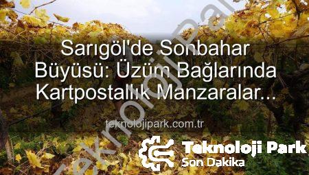 Sarıgöl’de Sonbahar Büyüsü: Üzüm Bağlarında Kartpostallık Manzaralar Eşliğinde Budama Çalışmaları Başladı