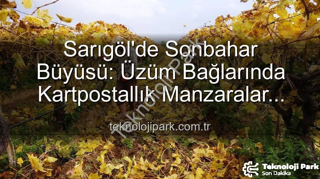 Sarıgöl üzüm bağları - Sarıgöl'de Sonbahar Büyüsü: Üzüm Bağlarında Kartpostallık Manzaralar Eşliğinde Budama Çalışmaları Başladı