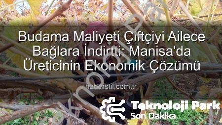 Üzüm Bağlarında Budama Maliyeti Üreticiyi Ailece Çalışmaya Zorladı: Manisa’da Yeni Dönem