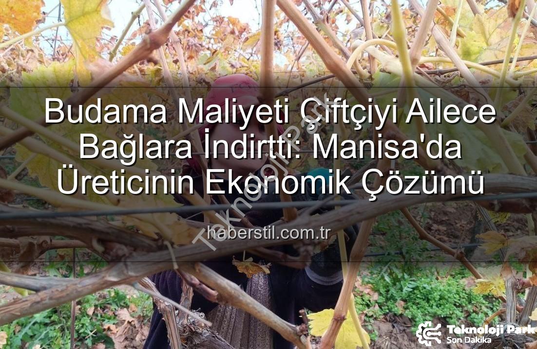 üzüm budama maliyeti - Üzüm Bağlarında Budama Maliyeti Üreticiyi Ailece Çalışmaya Zorladı: Manisa'da Yeni Dönem