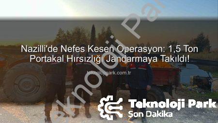 Nazilli’de Nefes Kesen Operasyon: 1,5 Ton Portakal Hırsızlığı Jandarmaya Takıldı!
