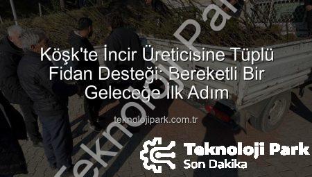 Köşk’te İncir Üreticisine Tüplü Fidan Desteği: Bereketli Bir Geleceğe İlk Adım