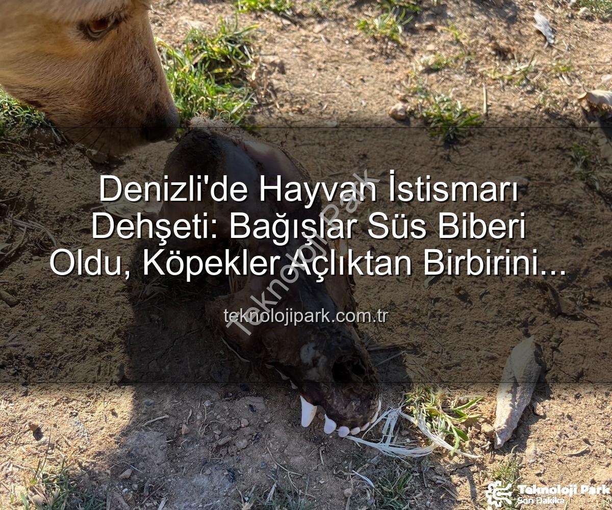 hayvan istismarı - Denizli'de Hayvan İstismarı Dehşeti: Bağışlar Süs Biberi Oldu, Köpekler Açlıktan Birbirini Yedi!