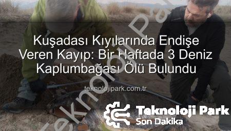 Kuşadası Kıyılarında Endişe Veren Kayıp: Bir Haftada 3 Deniz Kaplumbağası Ölü Bulundu