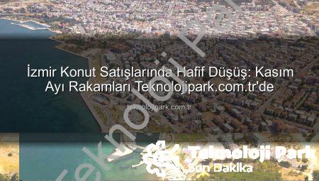 İzmir Konut Satışlarında Hafif Düşüş: Kasım Ayı Rakamları Teknolojipark.com.tr’de