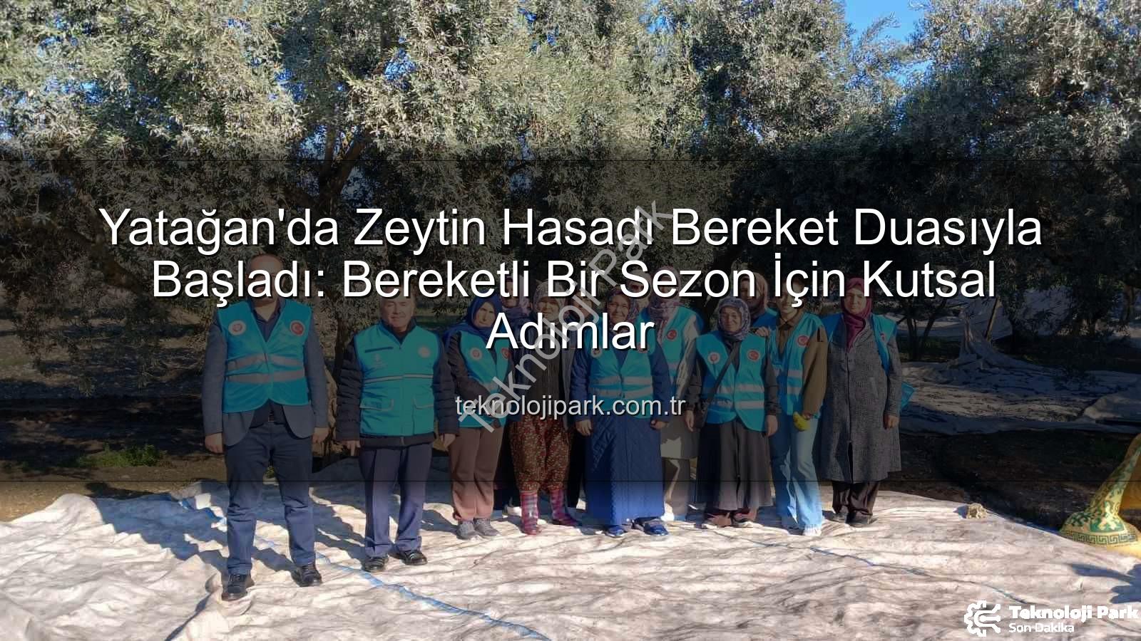 zeytin hasadı - Yatağan'da Zeytin Hasadı Bereket Duasıyla Başladı: Bereketli Bir Sezon İçin Kutsal Adımlar