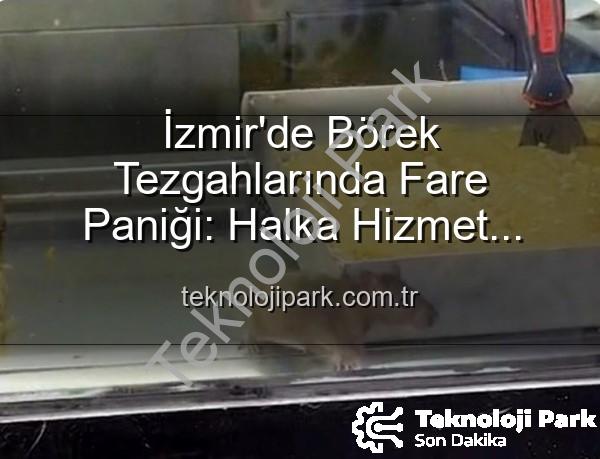 börek tezgahlarında fare - İzmir'de Börek Tezgahlarında Fare Paniği: Halka Hizmet Yerine Sağlık Skandalı!