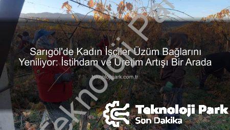 Sarıgöl’de Kadın İşçiler Üzüm Bağlarını Yeniliyor: İstihdam ve Üretim Artışı Bir Arada