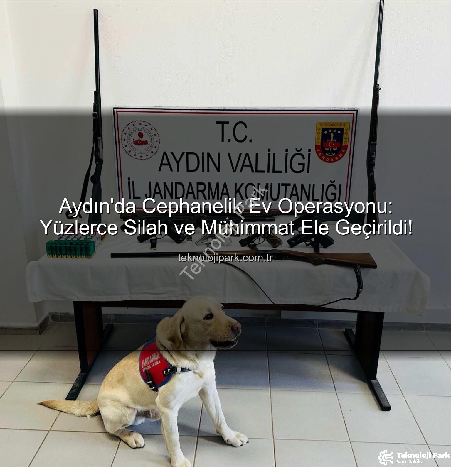 ruhsatsız silah operasyonu - Aydın'da Cephanelik Ev Operasyonu: Yüzlerce Silah ve Mühimmat Ele Geçirildi!