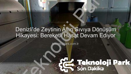 Denizli’de Zeytinin Altın Sıvıya Dönüşüm Hikayesi: Bereketli Hasat Devam Ediyor