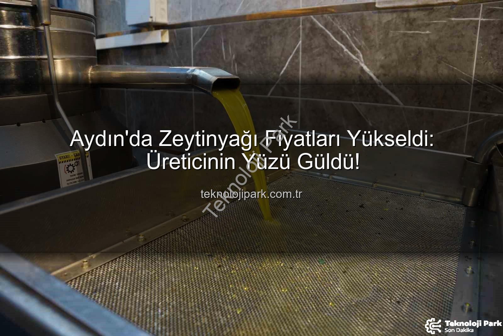 zeytinyağı fiyatları - Aydın'da Zeytinyağı Fiyatları Yükseldi: Üreticinin Yüzü Güldü!