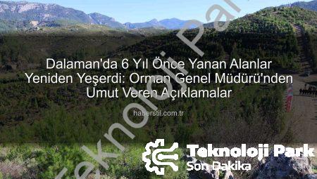 Muğla’da Yeşil Mucize: Dalaman’da Yanan Alanlar 6 Yılda Yeniden Hayat Buldu