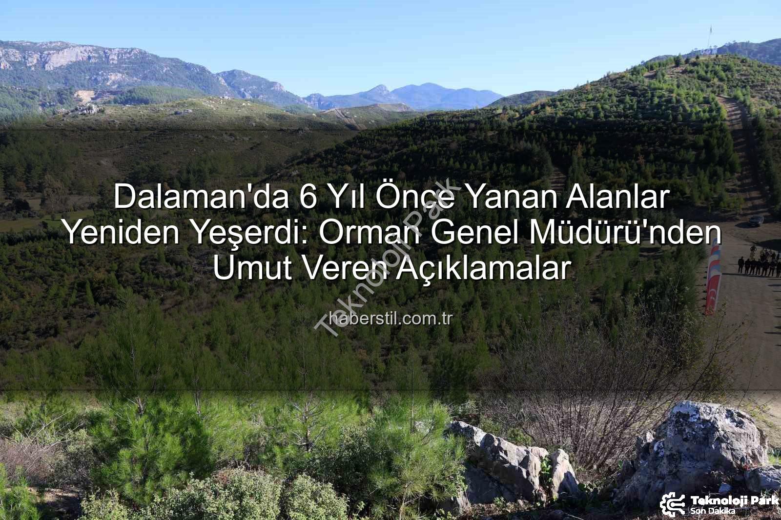 Dalaman yangın alanı - Muğla'da Yeşil Mucize: Dalaman'da Yanan Alanlar 6 Yılda Yeniden Hayat Buldu