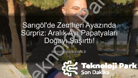 Sarıgöl’de Zemheri Ayazında Sürpriz: Aralık Ayı Papatyaları Doğayı Şaşırttı!