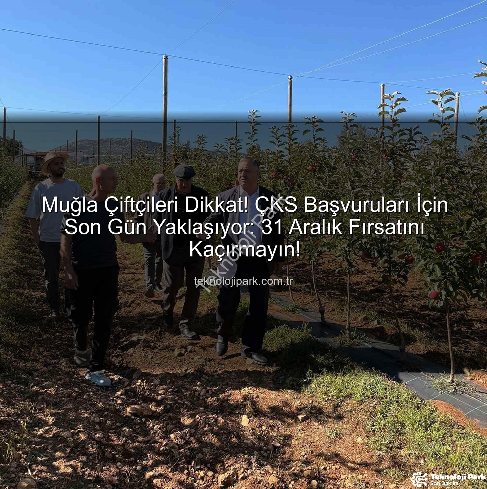 ÇKS başvuruları - Muğla Çiftçileri Dikkat! ÇKS Başvuruları İçin Son Gün Yaklaşıyor: 31 Aralık Fırsatını Kaçırmayın!